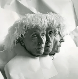 Voice cover image