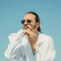 Voice cover image