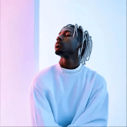 Voice cover image