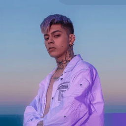Voice cover image