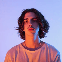 Voice cover image