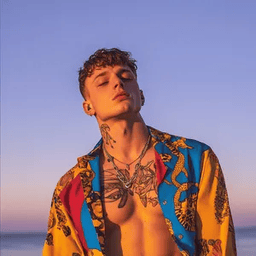 Voice cover image