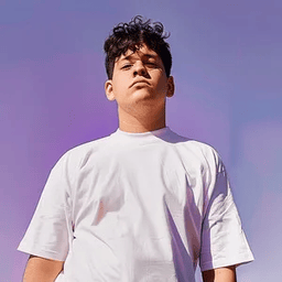 Voice cover image