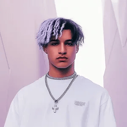 Voice cover image
