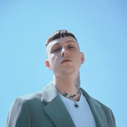 Voice cover image