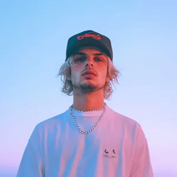 Voice cover image