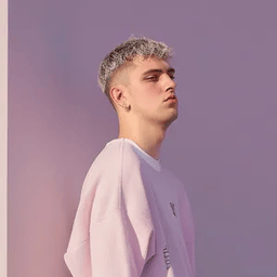 Voice cover image