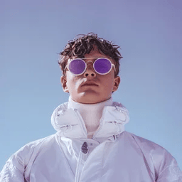 Voice cover image