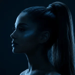 Voice cover image