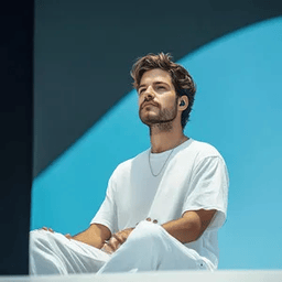 Voice cover image
