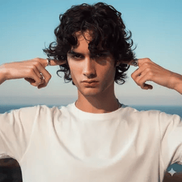 Voice cover image